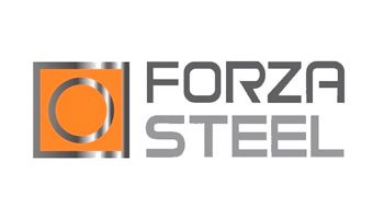 Logo Forza Steel